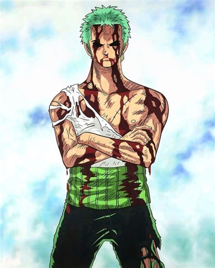 Unraveling the Mystery of Nothing Happened Zoro