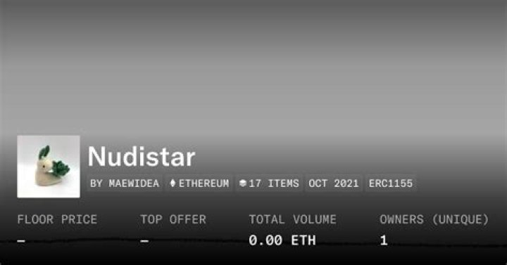 Nudistar: The Evolving World of Adult Entertainment and Its Influencers