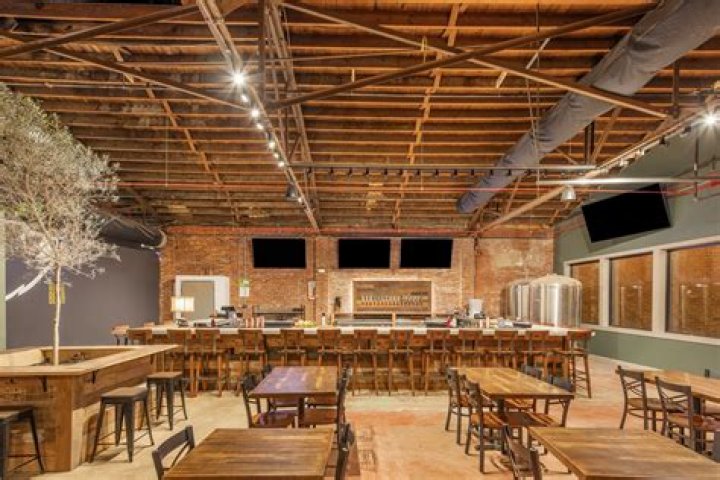 Embracing the Journey of the Old Black Bear