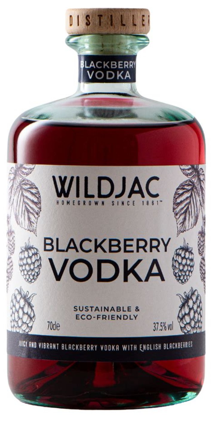 P Diddy Blackberry Vodka: The Fusion of Flavor and Fame