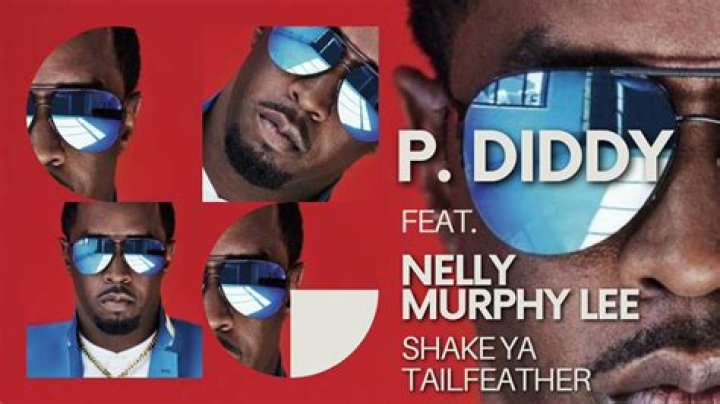 Unleashing the Groove: P Diddy Feat Nelly & Murphy Lee - Shake Ya Tailfeather
