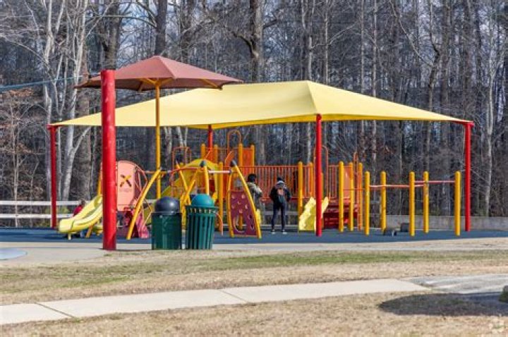 Stunning Park Holly Trees: Pictures & Care Tips