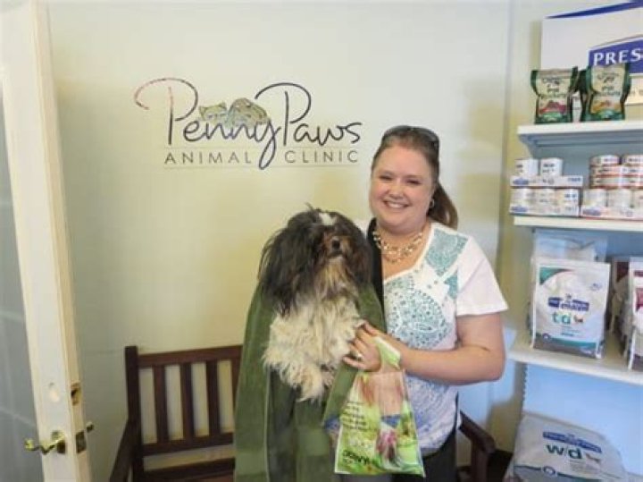 Discovering the Wonders of Penny Paws Animal Clinic