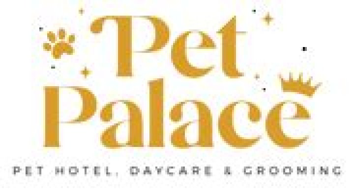 Discover the Ultimate Pet Palace: A Haven for Your Furry Friends