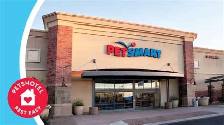 Discovering the Best Pet Stores in Omaha, NE