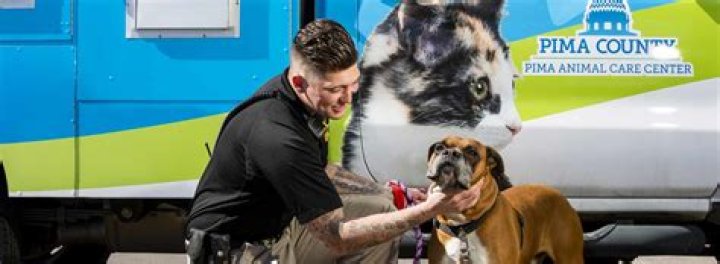 Discovering Pima Animal Care: A Comprehensive Guide