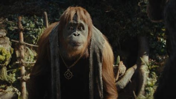 Unveiling the Planet of the Apes Orangutan: A Symbol of Intelligence and Emotion