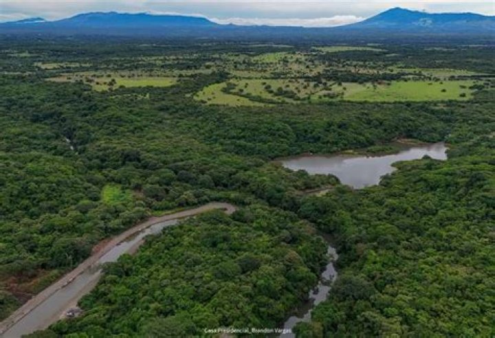 Quiero Agua: The Importance of Hydration for Your Health