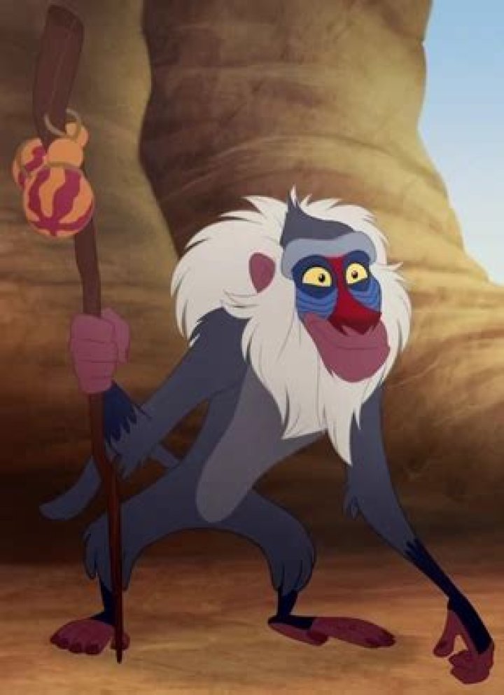 Rafiki: The Wise and Loyal Friend from Disney's The Lion King