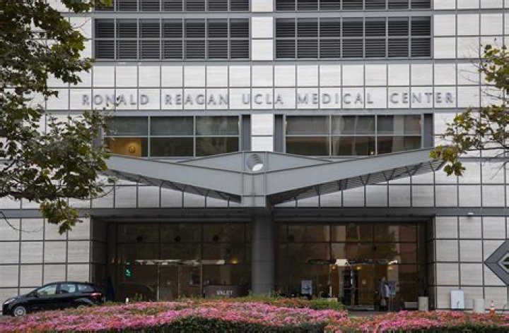 Discovering Reagan Medical Center: A Haven for Health and Healing