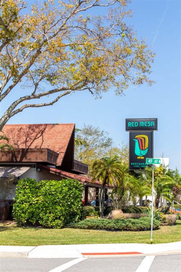 Discovering the Vibrancy of Red Mesa St Pete