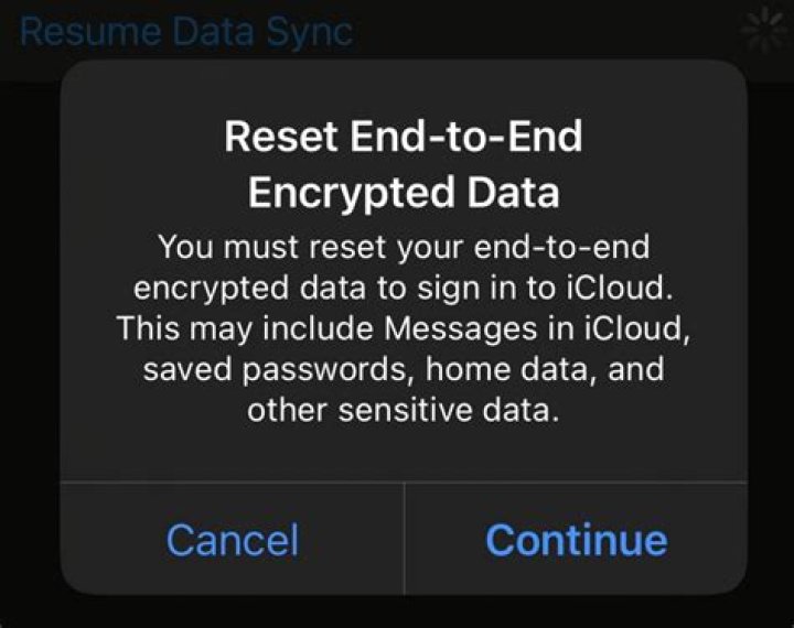 Understanding How to Reset End to End Encrypted Data