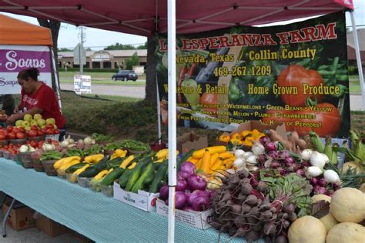 Exploring the Vibrant Richardson Farmers Market