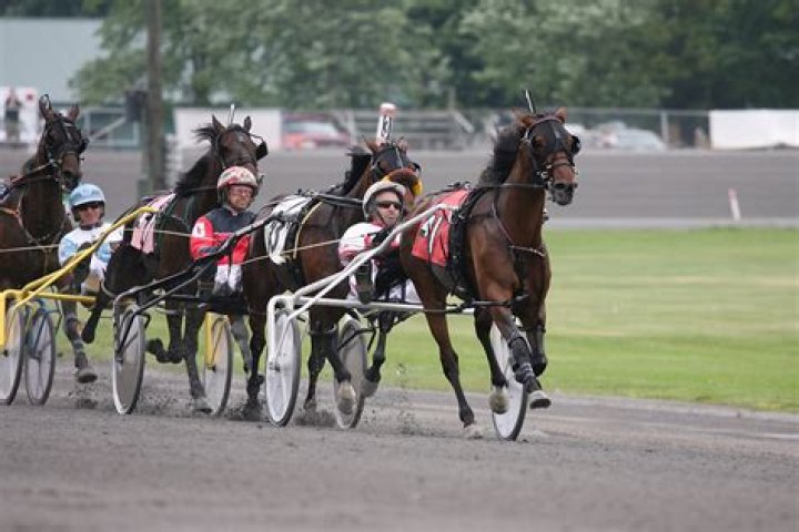 Unveiling the Thrills of Roescroft Raceway: An Enthusiast's Paradise