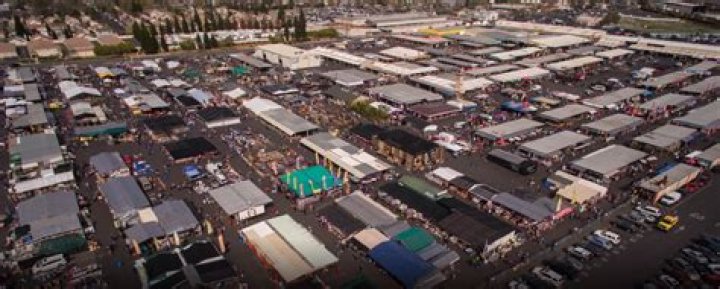 Exploring the Treasures of the Roseville Flea Market
