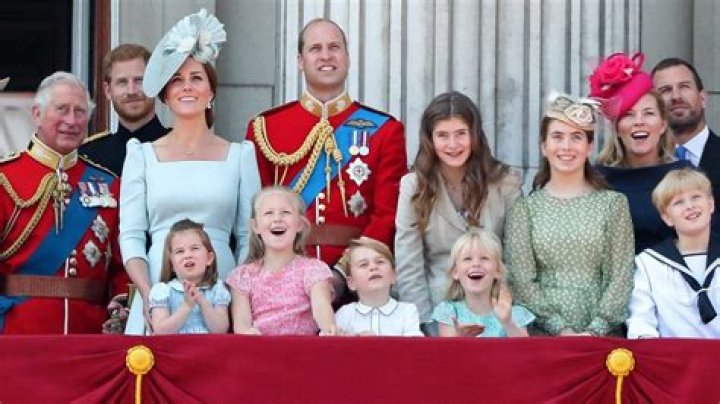 Understanding the Dynamics of the Royal British Family
