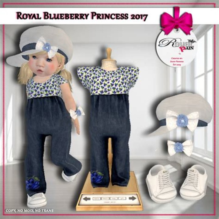 Unraveling the Intricacies of the Royal Pain Show