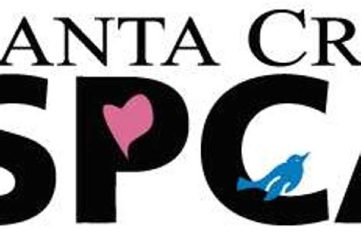 Exploring Santa Cruz SPCA: A Comprehensive Guide to Animal Welfare