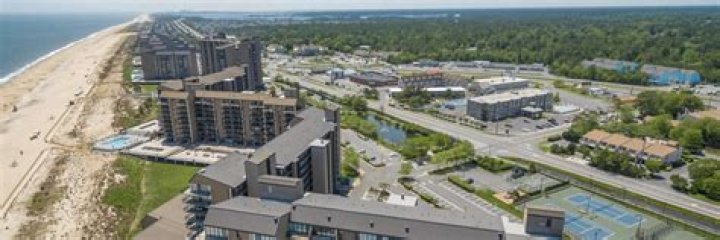 Exploring the Enigma of Sea Colonies: A Journey Beneath the Waves