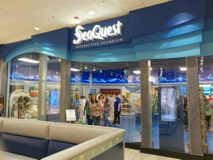 Discovering the Underwater Marvels of SeaQuest Layton Utah
