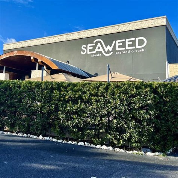 Exploring the Unique Flavors of a Seaweed Restaurant