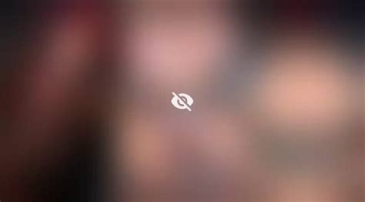 Unveiling the Mysteries of the Shanin Blake Leak