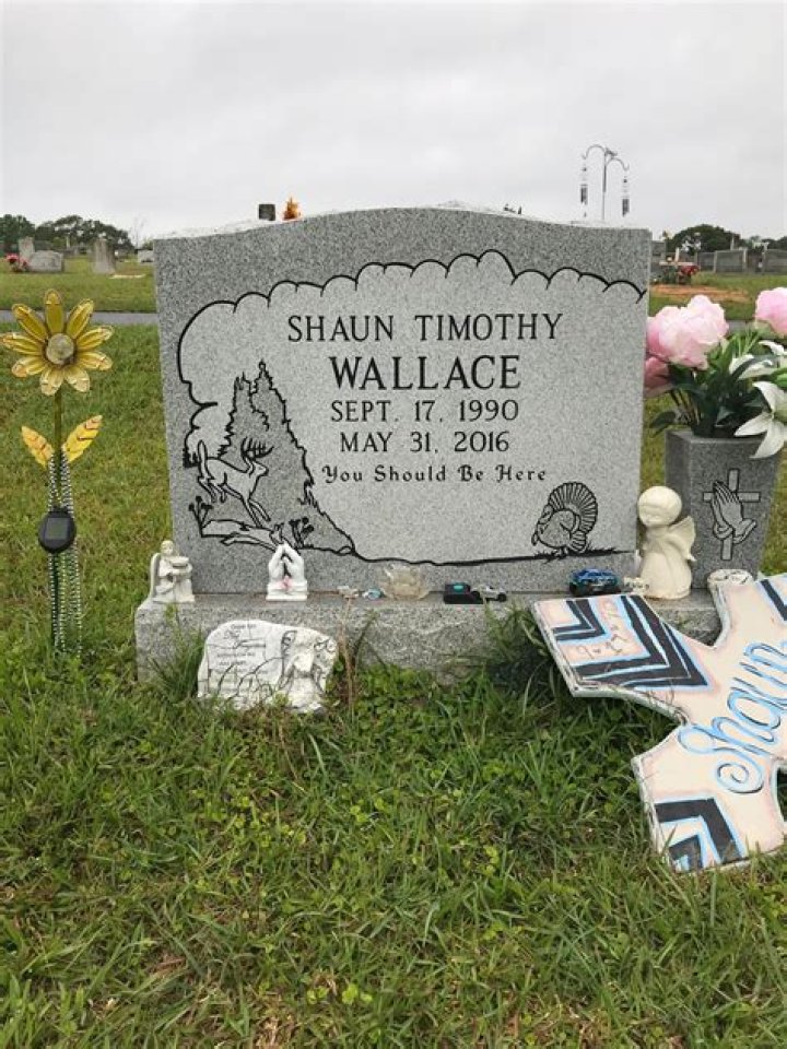 Exploring the Life and Career of Shaun Timothy: A Comprehensive Biography