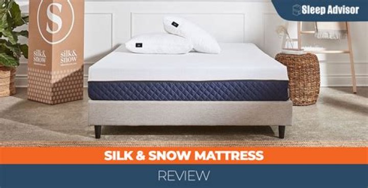 Enchanting Tales of Silk and Snow