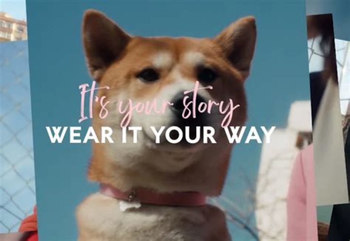 Exploring the Song on the Pandora Commercial: A Perfect Blend of Music and Advertising