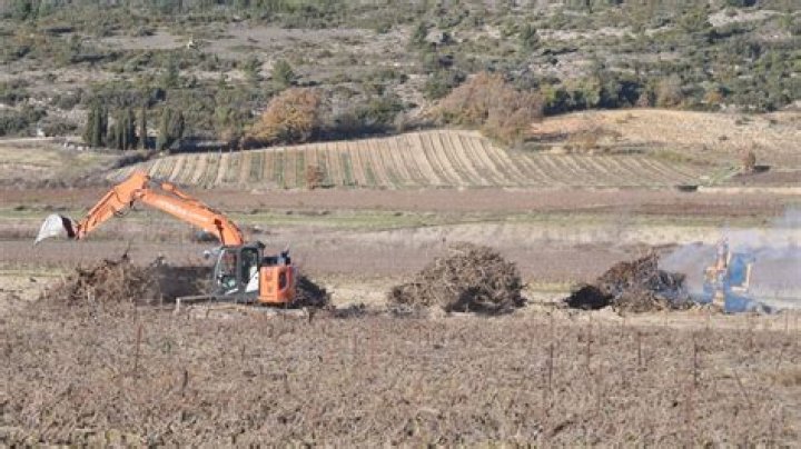 Unmasking the Magic: The Fascinating World of Spiderman Sophie Rain