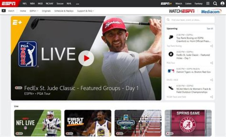 Discover the Best Sport Streaming Sites for Every Fan