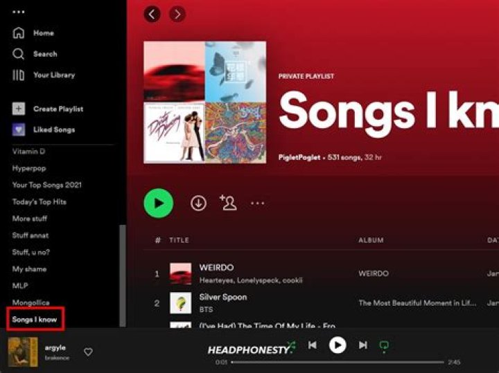 Creative Spotify Names for Playlists: Enhance Your Music Experience
