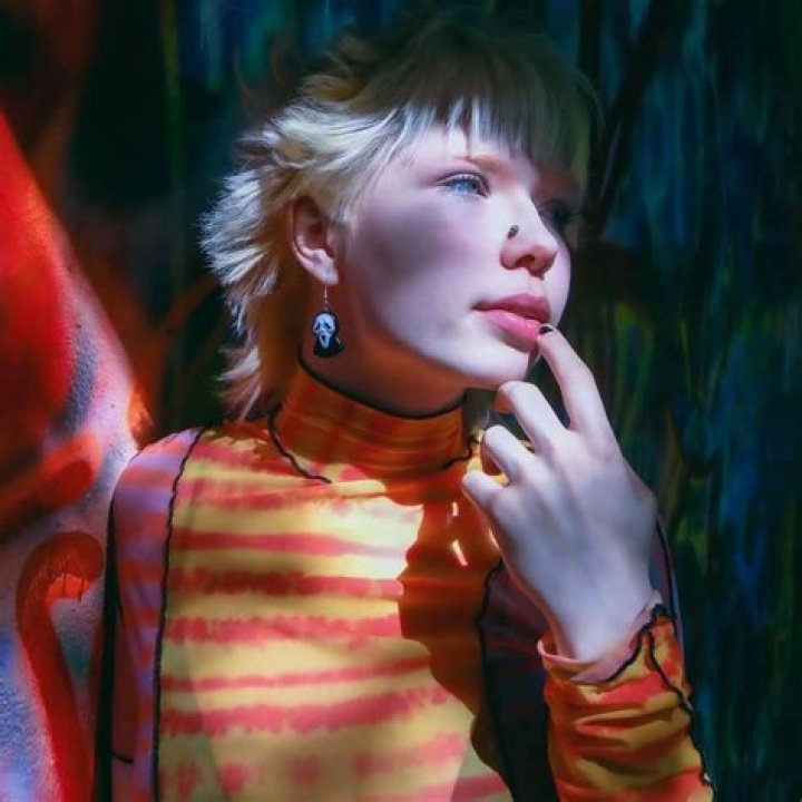 Unraveling the Life and Career of Stevie Laine