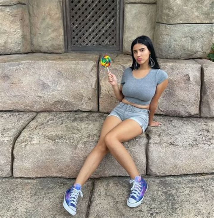 Discovering the Unique Charm of Strawberry Tabby Cats