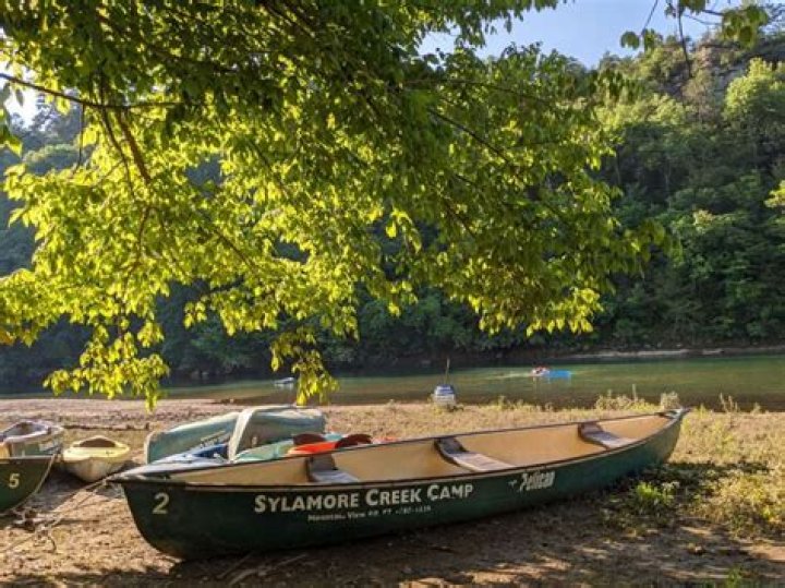 Discovering the Tranquility of Sylamore Creek Camp