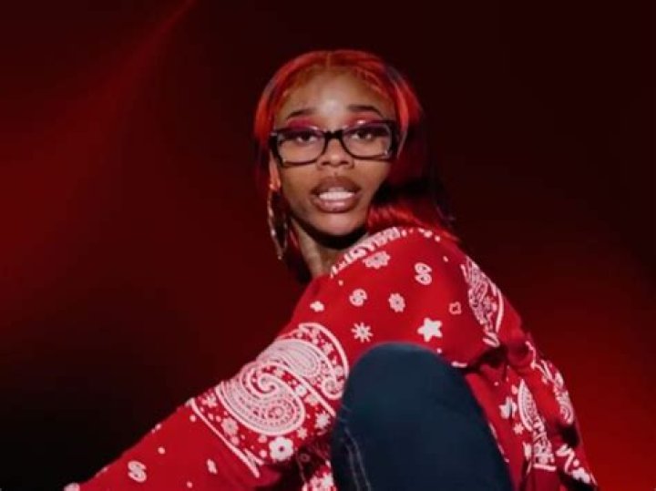 SZA Pregnancy: Everything You Need to Know About the Anticipated Journey