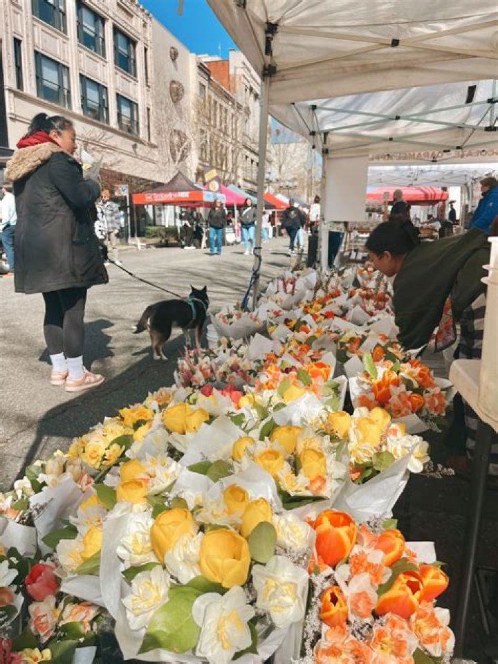 Tacoma Farmers Market: A Fresh Experience Awaits