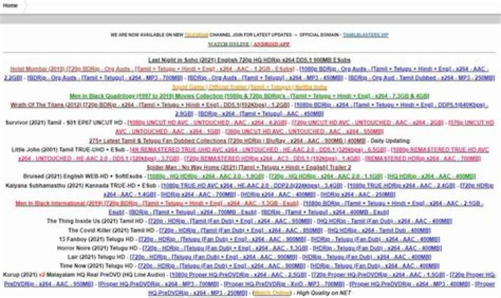 Tamilblasters Mov: Your Gateway to Tamil Cinema