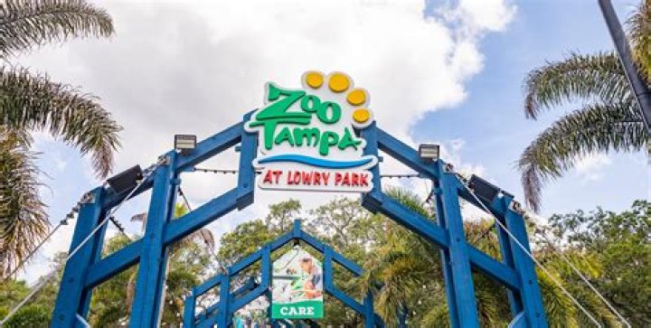 Tampa Florida Zoo: A Comprehensive Guide to the Best Family Adventure
