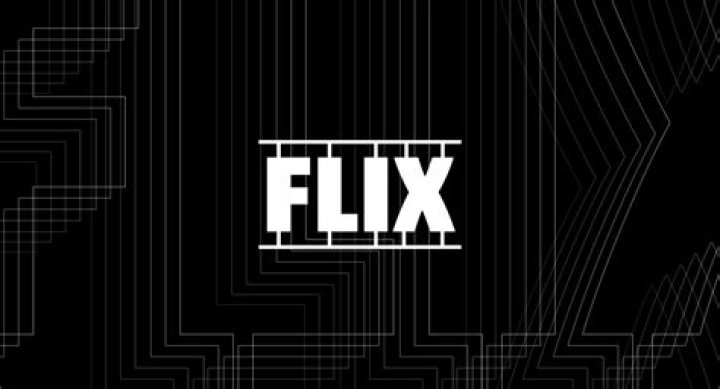 The Flix: A Journey Through Cinematic Delight