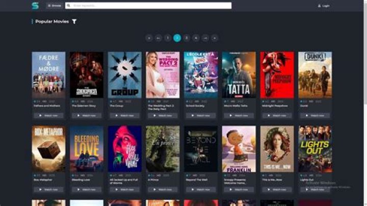 The S Flix: A Cinematic Journey into the Future of Streaming