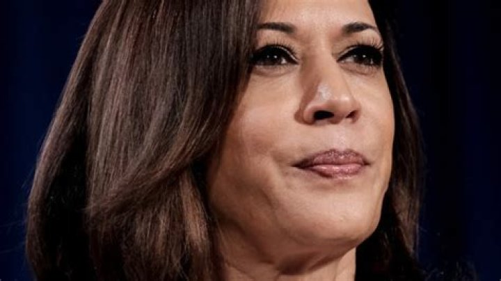 The Controversial Aspects of Kamala Harris: Unpacking the Shady Side
