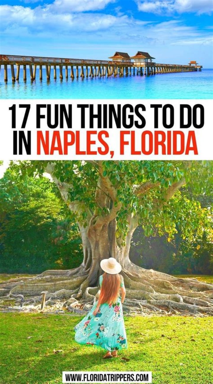 Explore the Exciting Things to Do in Naples, FL This Weekend