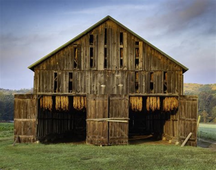 Historic Tobacco Barn - Unique Finds & Rustic Charm