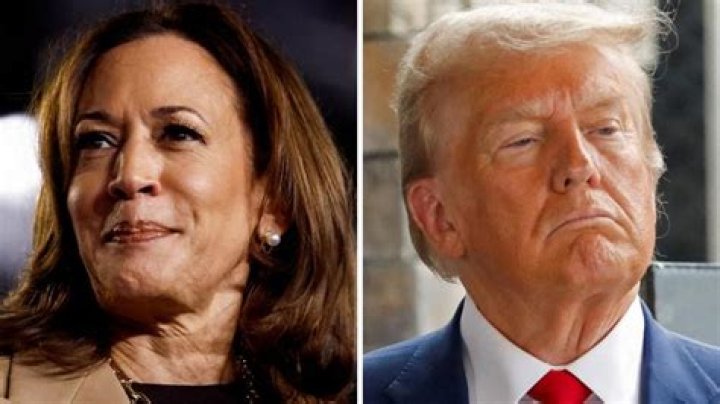 Trump Calls Kamala Bitch: Analyzing the Controversy and Its Implications