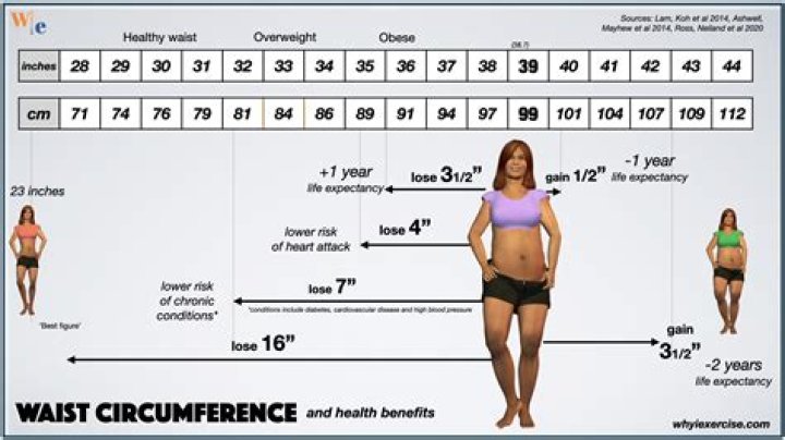 Tyla Waist Measurement: Understanding Its Significance and How to Achieve Your Ideal Size