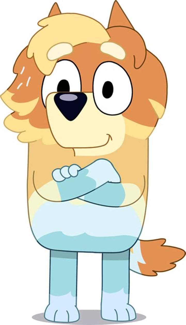 Uncle Rad: The Voice Behind Bluey’s Endearing Character