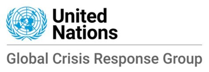 UNCTAD Global Crisis Response Group: An In-Depth Analysis