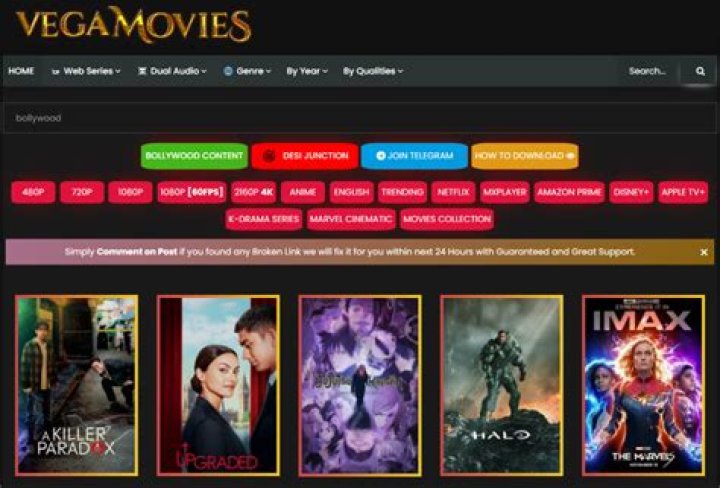 Why Vegamovies Movies Download Is a Risky Bet for Your Entertainment