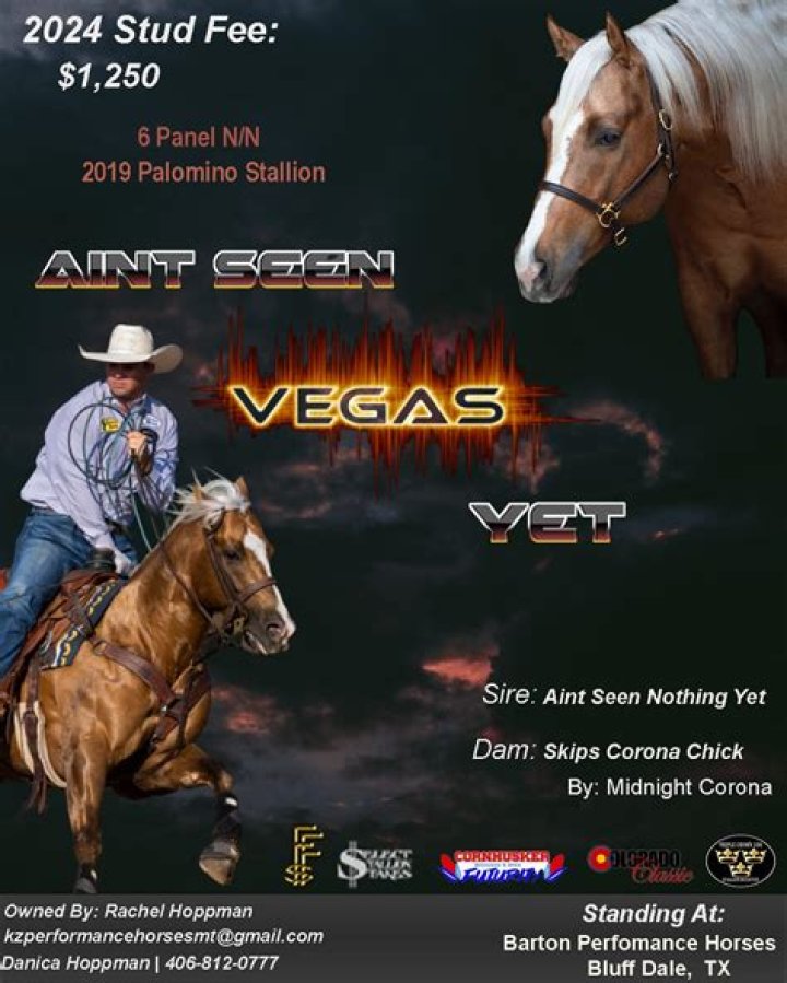 Exploring the Allure of Vegas.yet: An Insider’s Guide